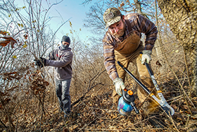 NGRREC/L&C Conservation Program Manager Justin Shew, left, and NGRREC Field Station and Projects Manager Ted Kratschmer, right, work to remove bush honeysuckle
