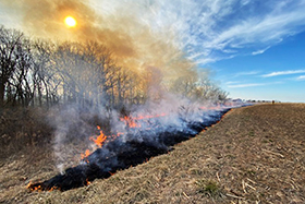 The NGRREC Habitat Strike Team supports a prescribed fire conducted on an Illinois Recreation Access Property on March 5. Photo by Jacob Decker, L&C Student Intern.