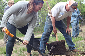 Jen Mandeville and volunteers helped to plant a river birch tree as part of the Piasa Park planting event on April 28